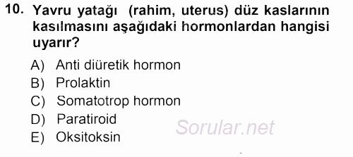 Temel Veteriner Anatomi 2012 - 2013 Dönem Sonu Sınavı 10.Soru