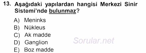 Temel Veteriner Anatomi 2012 - 2013 Dönem Sonu Sınavı 13.Soru