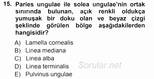Temel Veteriner Anatomi 2012 - 2013 Dönem Sonu Sınavı 15.Soru