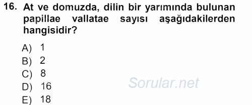 Temel Veteriner Anatomi 2012 - 2013 Dönem Sonu Sınavı 16.Soru