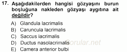 Temel Veteriner Anatomi 2012 - 2013 Dönem Sonu Sınavı 17.Soru