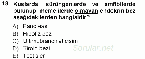 Temel Veteriner Anatomi 2012 - 2013 Dönem Sonu Sınavı 18.Soru