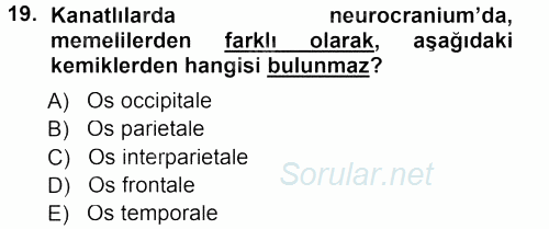 Temel Veteriner Anatomi 2012 - 2013 Dönem Sonu Sınavı 19.Soru
