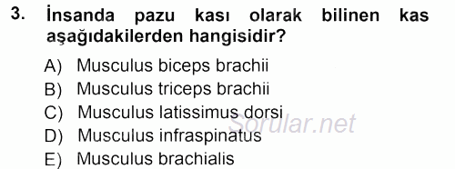 Temel Veteriner Anatomi 2012 - 2013 Dönem Sonu Sınavı 3.Soru