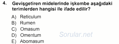 Temel Veteriner Anatomi 2012 - 2013 Dönem Sonu Sınavı 4.Soru