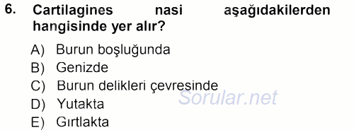 Temel Veteriner Anatomi 2012 - 2013 Dönem Sonu Sınavı 6.Soru