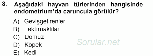 Temel Veteriner Anatomi 2012 - 2013 Dönem Sonu Sınavı 8.Soru