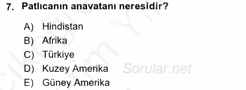 Bahçe Tarımı 2 2016 - 2017 3 Ders Sınavı 7.Soru