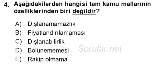 Uluslararası Kamu Maliyesi 2017 - 2018 3 Ders Sınavı 4.Soru