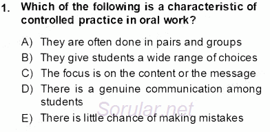 Çocuklara Yabancı Dil Öğretimi 1 2013 - 2014 Tek Ders Sınavı 1.Soru