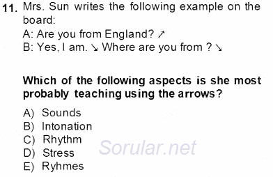 Çocuklara Yabancı Dil Öğretimi 1 2013 - 2014 Tek Ders Sınavı 11.Soru