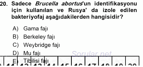 Veteriner Mikrobiyoloji ve Epidemiyoloji 2015 - 2016 Ara Sınavı 20.Soru