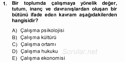 Çalışma Sosyolojisi 2014 - 2015 Tek Ders Sınavı 1.Soru