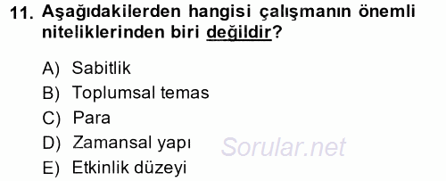 Çalışma Sosyolojisi 2014 - 2015 Tek Ders Sınavı 11.Soru