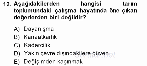 Çalışma Sosyolojisi 2014 - 2015 Tek Ders Sınavı 12.Soru
