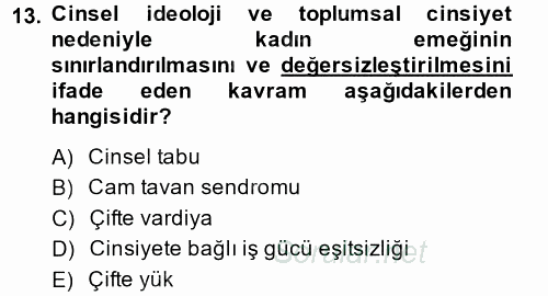 Çalışma Sosyolojisi 2014 - 2015 Tek Ders Sınavı 13.Soru