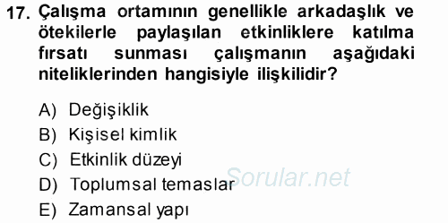 Çalışma Sosyolojisi 2014 - 2015 Tek Ders Sınavı 17.Soru