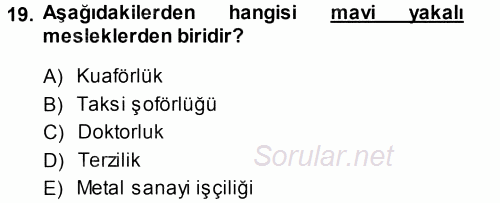 Çalışma Sosyolojisi 2014 - 2015 Tek Ders Sınavı 19.Soru