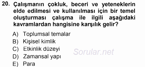 Çalışma Sosyolojisi 2014 - 2015 Tek Ders Sınavı 20.Soru