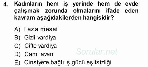 Çalışma Sosyolojisi 2014 - 2015 Tek Ders Sınavı 4.Soru