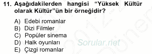 Sosyolojiye Giriş 2012 - 2013 Dönem Sonu Sınavı 11.Soru