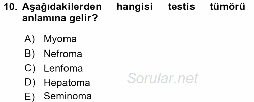 Tıbbi Terminoloji 2017 - 2018 3 Ders Sınavı 10.Soru