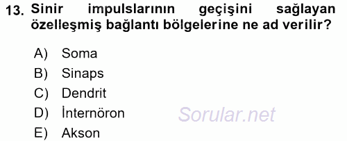 Tıbbi Terminoloji 2017 - 2018 3 Ders Sınavı 13.Soru