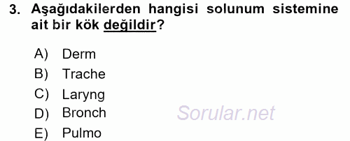 Tıbbi Terminoloji 2017 - 2018 3 Ders Sınavı 3.Soru