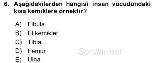 Tıbbi Terminoloji 2017 - 2018 3 Ders Sınavı 6.Soru