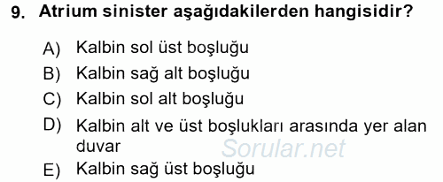 Tıbbi Terminoloji 2017 - 2018 3 Ders Sınavı 9.Soru