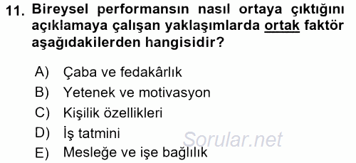 Performans Yönetimi 2015 - 2016 Dönem Sonu Sınavı 11.Soru