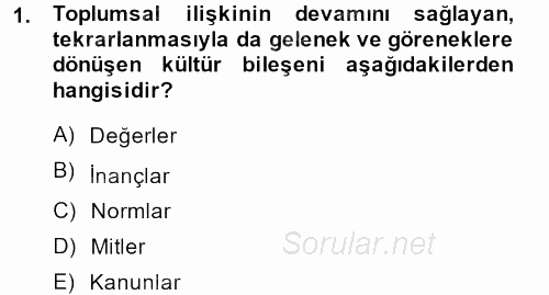 Kültür Sosyolojisi 2014 - 2015 Dönem Sonu Sınavı 1.Soru