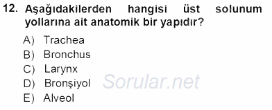 Tıbbi Terminoloji 2012 - 2013 Ara Sınavı 12.Soru