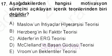 Organizasyonlarda Davranış 2014 - 2015 Ara Sınavı 17.Soru