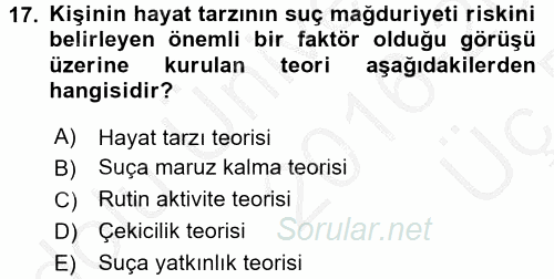 Suç Önleme Modelleri 2016 - 2017 3 Ders Sınavı 17.Soru