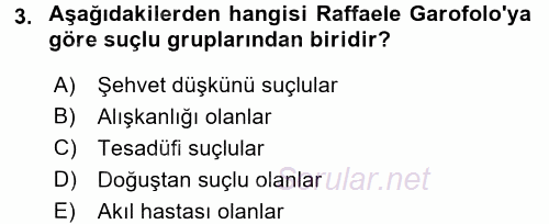 Suç Önleme Modelleri 2016 - 2017 3 Ders Sınavı 3.Soru