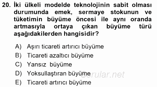 Uluslararası İktisat Teorisi 2016 - 2017 Ara Sınavı 20.Soru