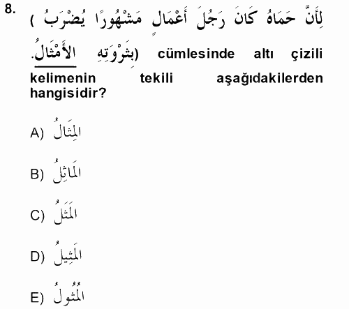 Arapça 2 2014 - 2015 Tek Ders Sınavı 8.Soru