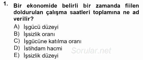 İstihdam ve İşsizlik 2014 - 2015 Dönem Sonu Sınavı 1.Soru