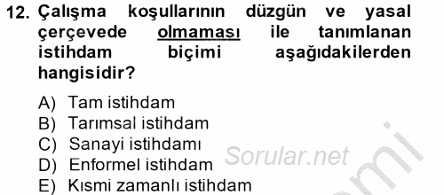 İstihdam ve İşsizlik 2014 - 2015 Dönem Sonu Sınavı 12.Soru