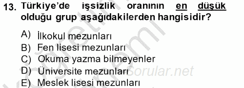 İstihdam ve İşsizlik 2014 - 2015 Dönem Sonu Sınavı 13.Soru