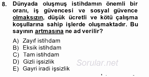 İstihdam ve İşsizlik 2014 - 2015 Dönem Sonu Sınavı 8.Soru