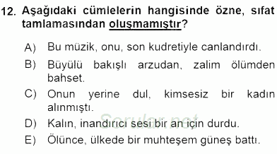 Türkçe Cümle Bilgisi 1 2016 - 2017 Ara Sınavı 12.Soru