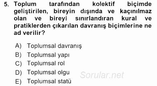 Sosyolojiye Giriş 2016 - 2017 Ara Sınavı 5.Soru