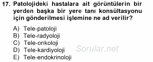 Sağlık Kurumlarında Bilgi Sistemleri 2014 - 2015 Tek Ders Sınavı 17.Soru