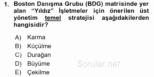 Stratejik Yönetim 2 2015 - 2016 Tek Ders Sınavı 1.Soru