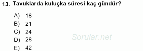 Hayvan Yetiştirme 2015 - 2016 Tek Ders Sınavı 13.Soru