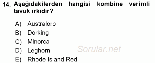 Hayvan Yetiştirme 2015 - 2016 Tek Ders Sınavı 14.Soru