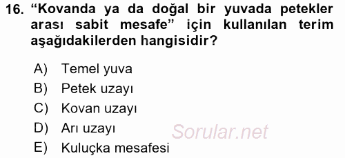 Hayvan Yetiştirme 2015 - 2016 Tek Ders Sınavı 16.Soru