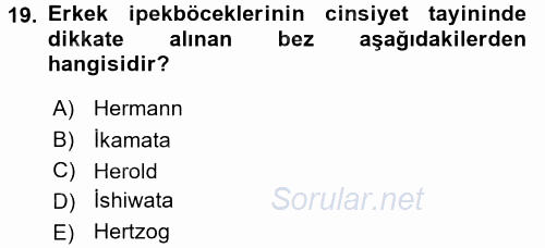 Hayvan Yetiştirme 2015 - 2016 Tek Ders Sınavı 19.Soru